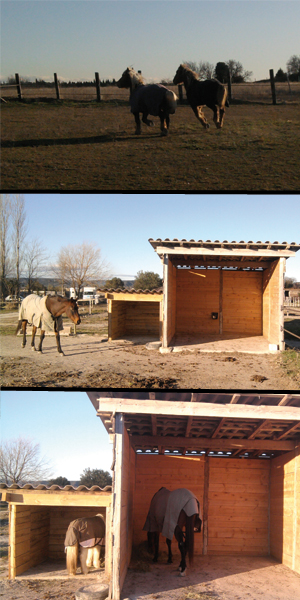 balades en calèche Pont du Gard